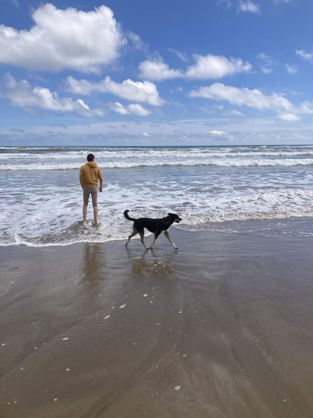 Balade sur la plage